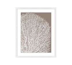 White Sea Fan On Tan Framed Print