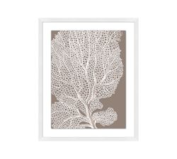 White Sea Fan On Tan Framed Print