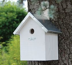 Blue Tit Bird House