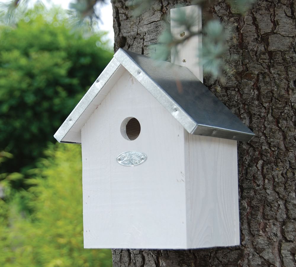Blue Tit Bird House