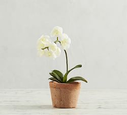 Mini Faux Orchid