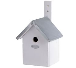 Blue Tit Bird House