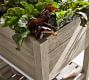 Indio Outdoor Outdoor Planters - Eucalyptus