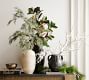 Lit Faux Juniper Branch
