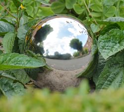 Stainless Steel Gazing Ball