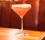 ZWIESEL GLAS Pure Martini Glasses
