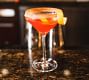 ZWIESEL GLAS Pure Martini Glasses