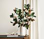 Magnolia Branch