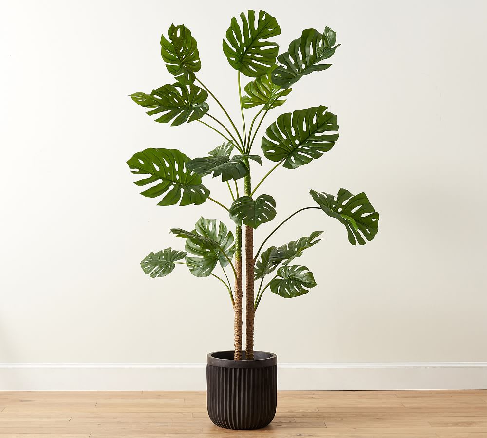 Faux Monstera Tree - 7.25'