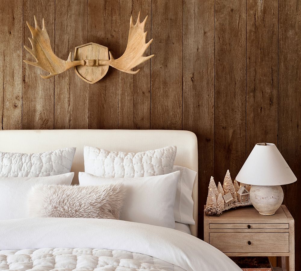 Moose Antlers