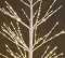 White Birch