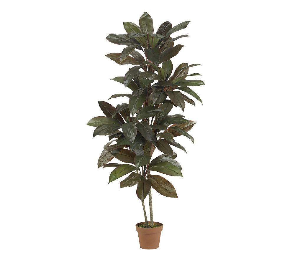 Faux Cordyline Plant