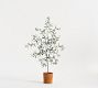 Faux Terracotta Potted Olive Tree