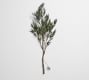 Lit Faux Juniper Branch