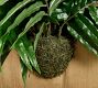 Faux Fern Wall Art