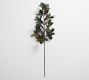 Magnolia Branch