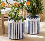 Mark D. Sikes Clementine Cachepots