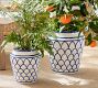 Mark D. Sikes Clementine Cachepots