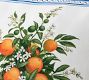 Mark D. Sikes Citrus Stripe Outdoor Pillow