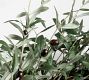 Faux Olive Wreath &amp; Garland