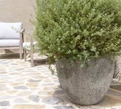 Livona Textured Ficonstone Planter