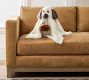Doug the Dog Ghost Pillow