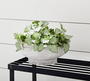 Artisan Hand Painted Terra Cotta Planter, Low Bowl- Small