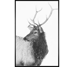 Winter Elk III by Jennifer Meyers