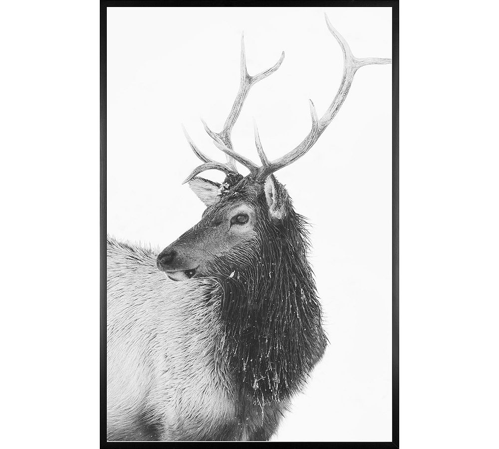Winter Elk III by Jennifer Meyers