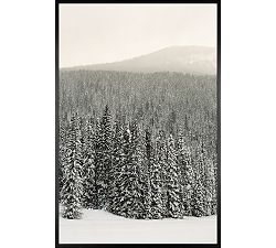 Winter Sunshine by Justine Milton