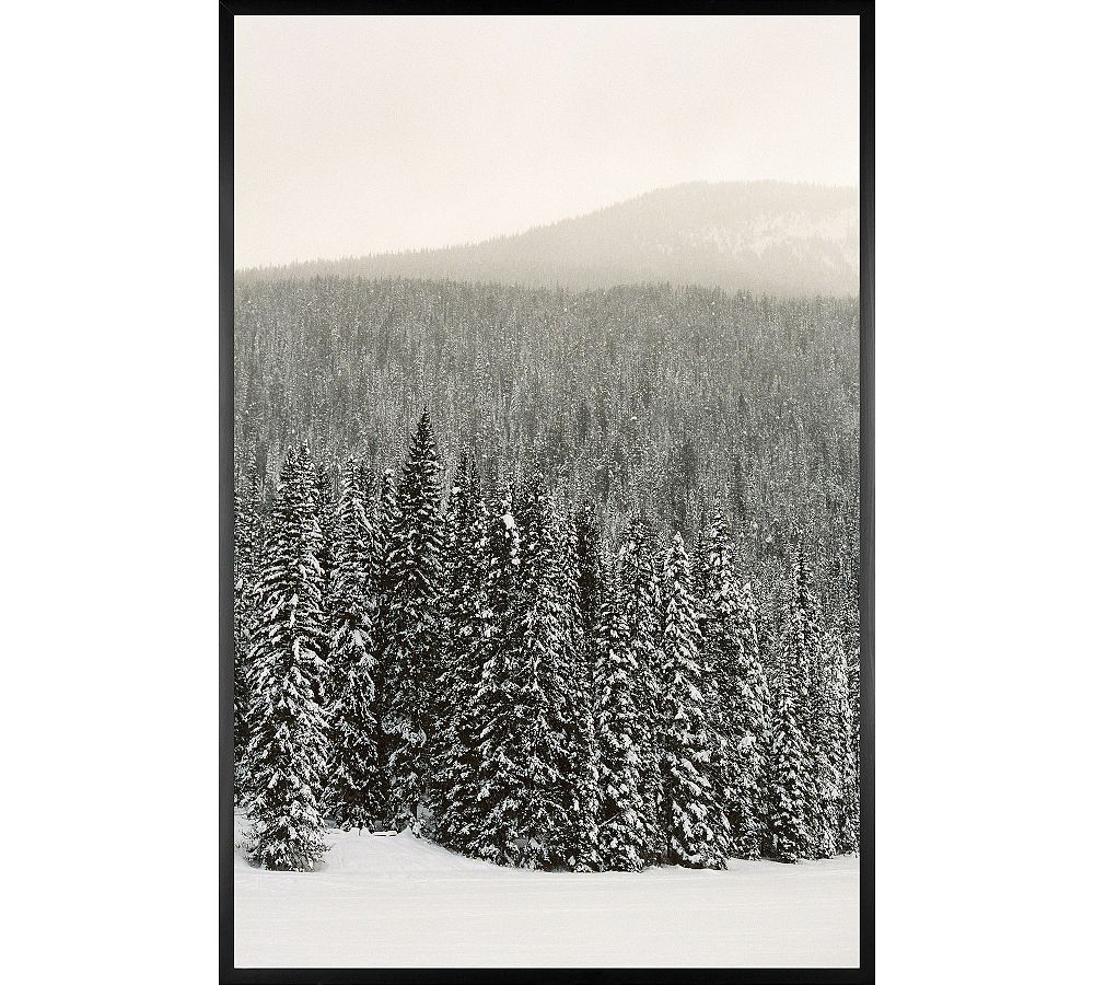 Winter Sunshine by Justine Milton
