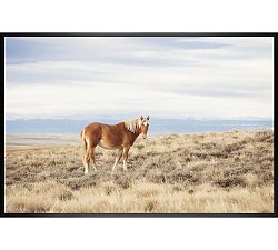 Pangare Chestnut Wild Horse by Jennifer Meyers