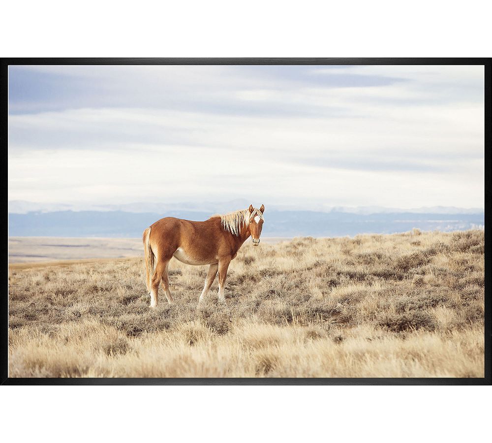 Pangare Chestnut Wild Horse by Jennifer Meyers