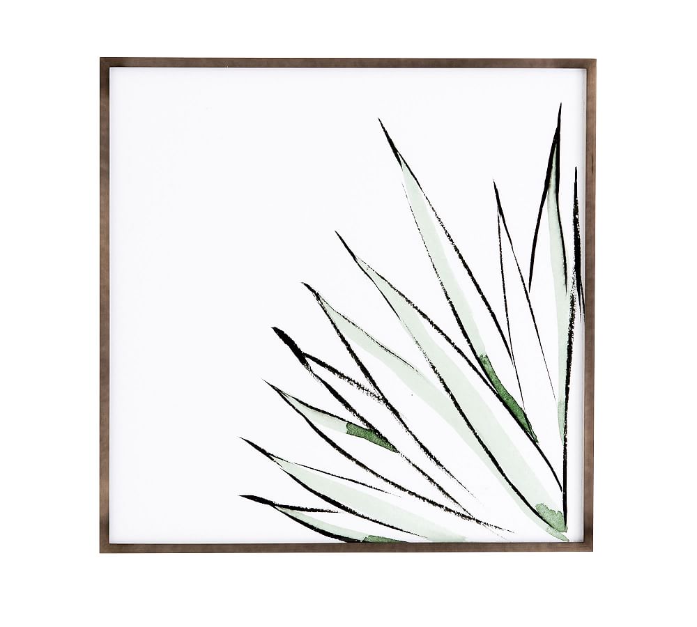 Agave Crop Framed Print