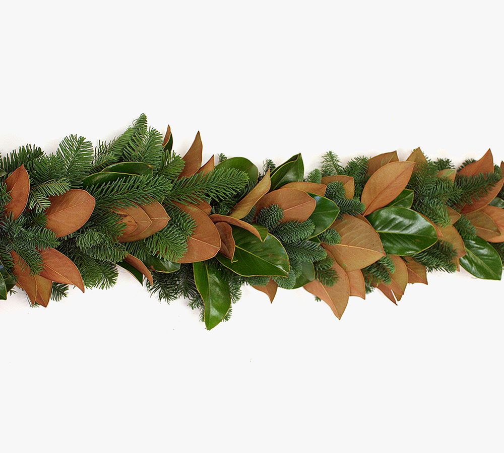Live Magnolia &amp; Noble Fir Garland