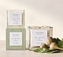 Verte Scent Collection - Fig &amp; Citrus