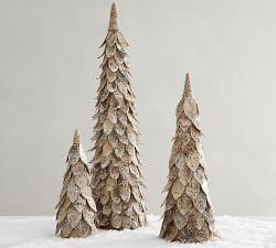 Open Box: Lit Birch Trees