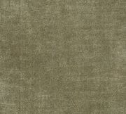Loden