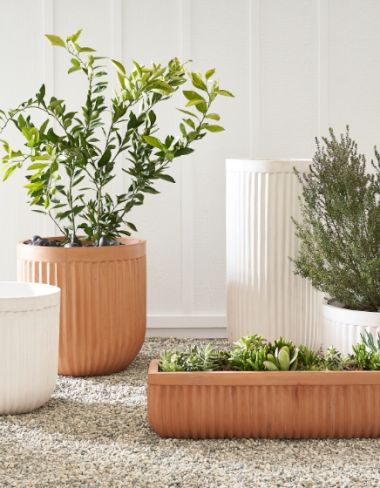 Planters image