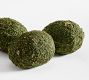 Moss Egg Vase Filler - Set of 6