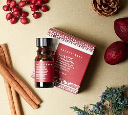 Flameless Diffuser Candle Fragrance Oil - Fireside Cinnamon, Set of 2