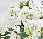 Faux Apple Blossom Bundle