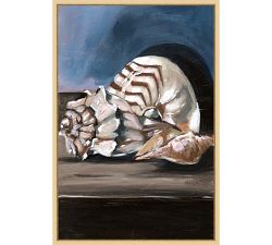 Shadow Shells Framed Canvas