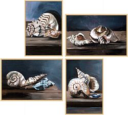 Shadow Shells Framed Canvas
