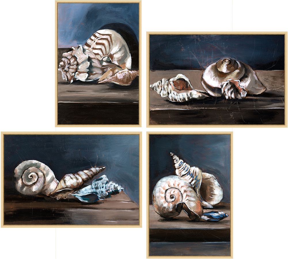 Shadow Shells Framed Canvas