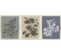 Crocus in Sky, Hellebore in Lake, &amp; Poppy in Linen by Kelly Ventura