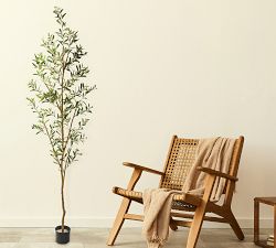 Faux Olive Trees
