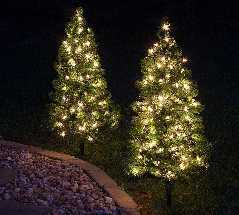 Lit Faux Winchester Fir Walkway Trees - Set of 2