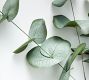 Faux Baby Blue Eucalyptus Branch