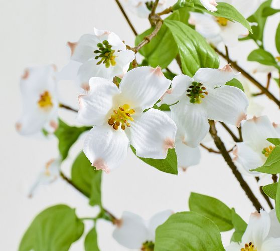 Faux Dogwood Bundle